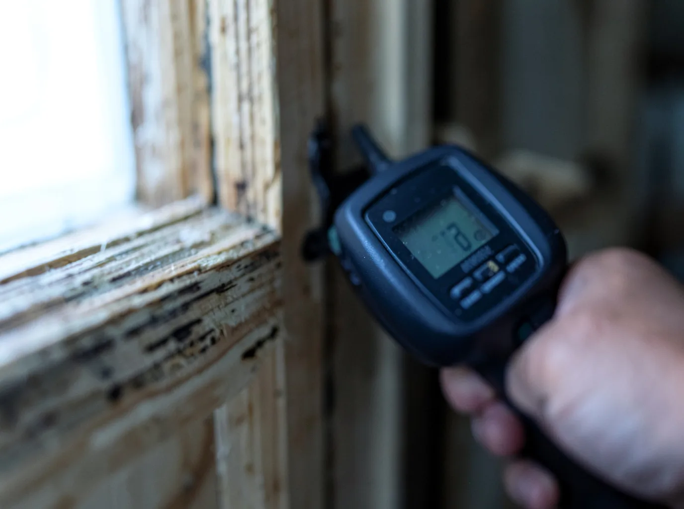 Ceiling Water Damage Repair in Whitmore Lake, MI